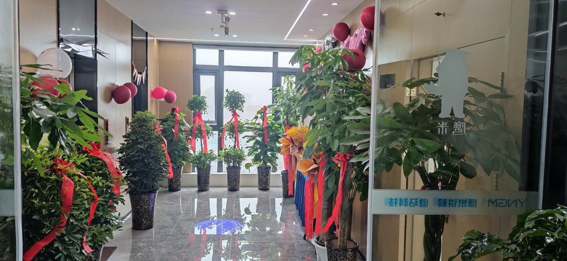 鷹米講解 鷹米講解