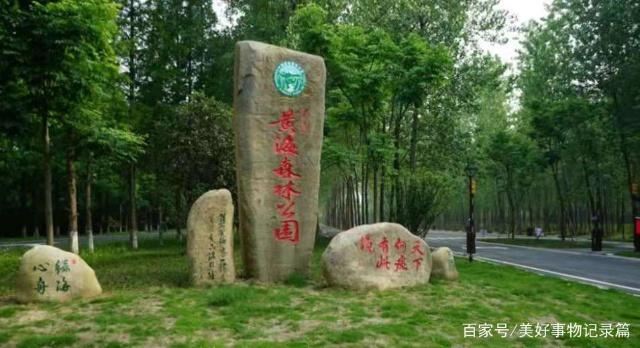 2024年7月鷹米講解助力黃海森林公園黨建展廳-打造沉浸式紅色課堂「鷹米講解」<