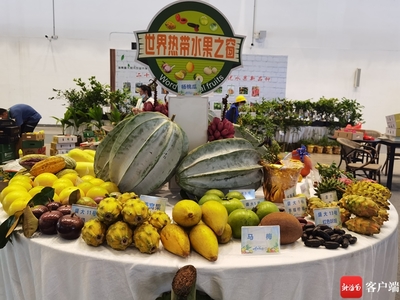 2025年2月，鷹米團(tuán)隊(duì)講解器如何讓世界熱帶水果之窗